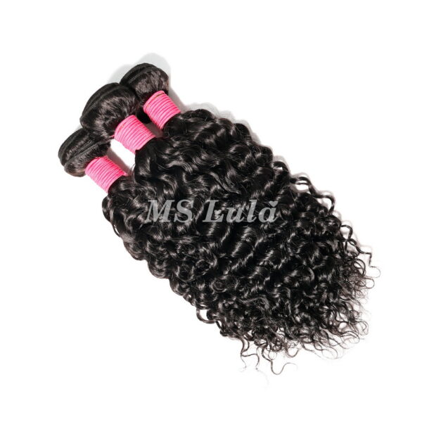 9A Water Wave Curly Human Hair Bundles - Image 8